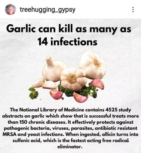 12:34:55 GMT-0400 (EDT)