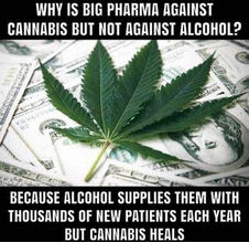 bigpharma87