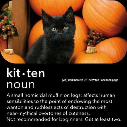 3d12b12b-1fd4-4a67-9de5-3b5c827b4471