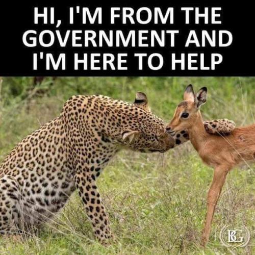 FB_IMG_1664818905348