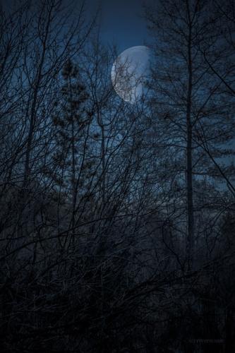 tumblr_25deeb2c2c2555e27a9cc470e0359b55_dac20513_540