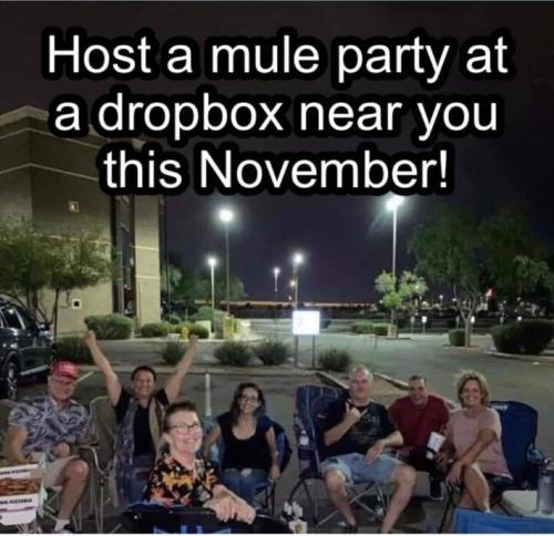 FB_IMG_1666278988952