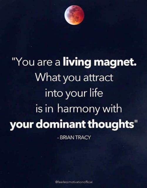 FB_IMG_1665559235621