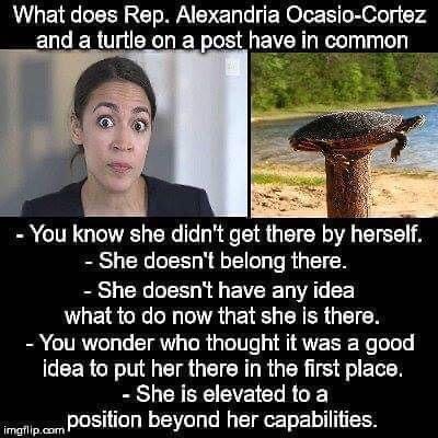 AOC:turtle me