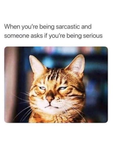 FB_IMG_1665511828369