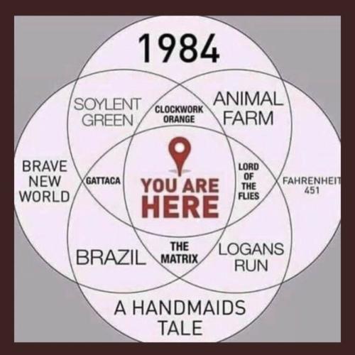 3199382c-938e-4dc1-bc5d-3d17ba86b0f2