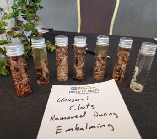 FB_IMG_1665867550280