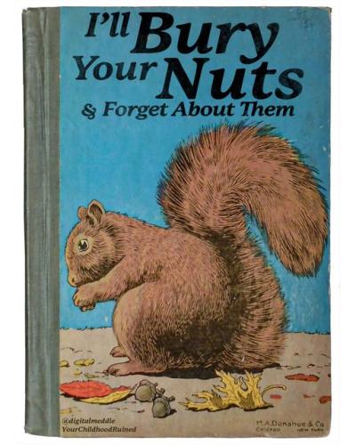 309637351_460372962784728_2653548245143646918_n