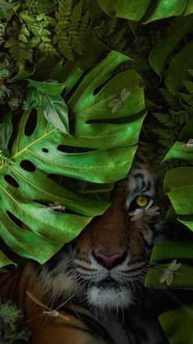 tumblr_d5c92d67d11118b18a226a1c35205168_7c53b1d0_640