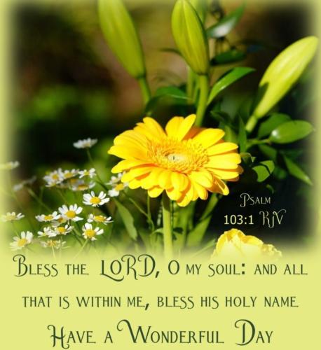 Screenshot_20221017-112246_Google