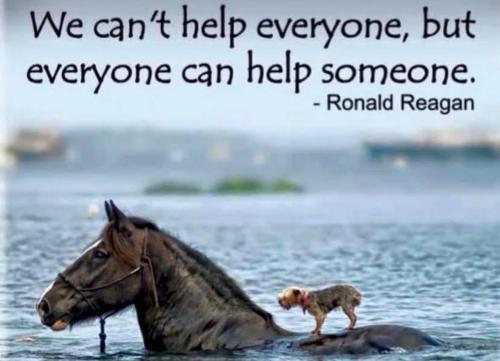 16:41:07 GMT-0400 (EDT)