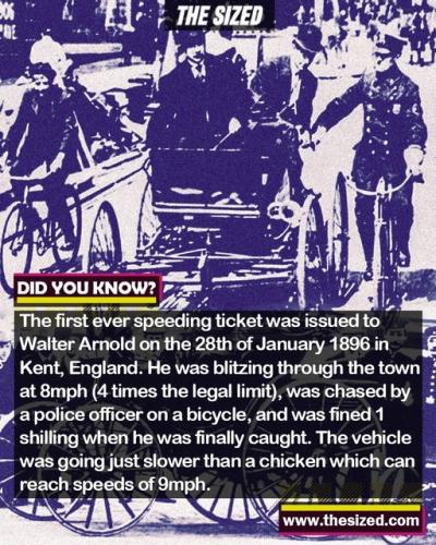 311784010_646159263617061_1814197752010070979_n