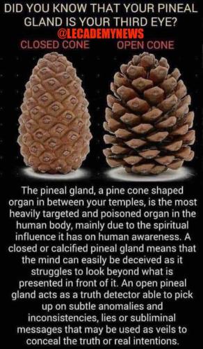 09:08:47 GMT-0400 (EDT)