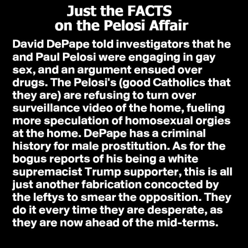 Just the facts on the Pelosi affair