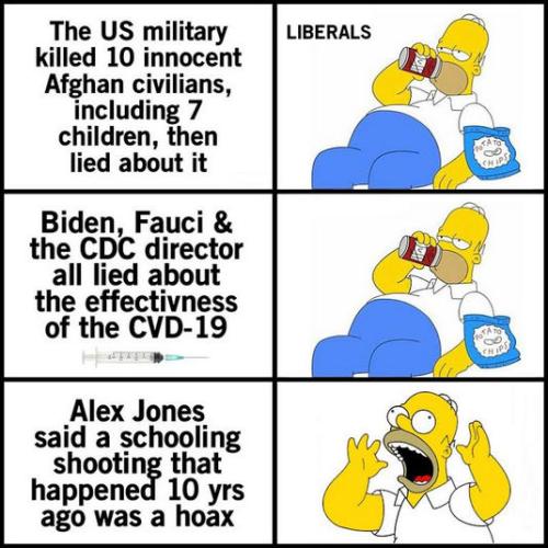 liberals311