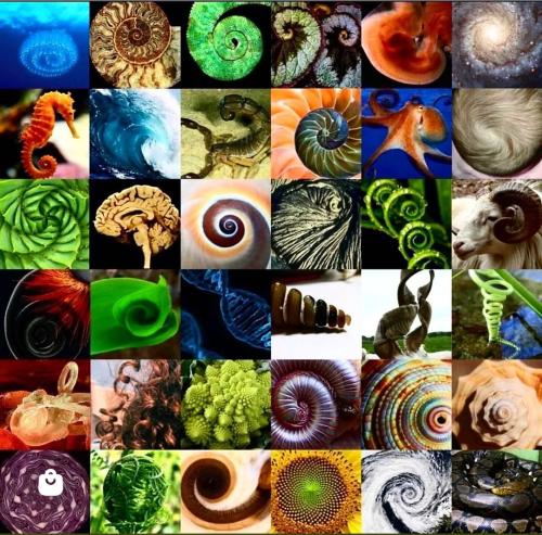 Screenshot_2022-10-26-13-24-01-40_1c337646f29875672b5a61192b9010f9