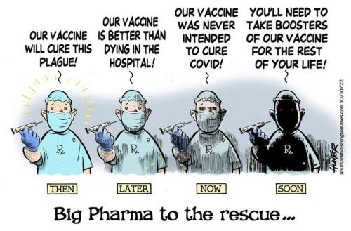 xephula_b75ba6a18b83804b9567c55e65c59ca9