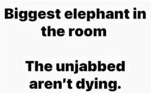 FB_IMG_1666771237070