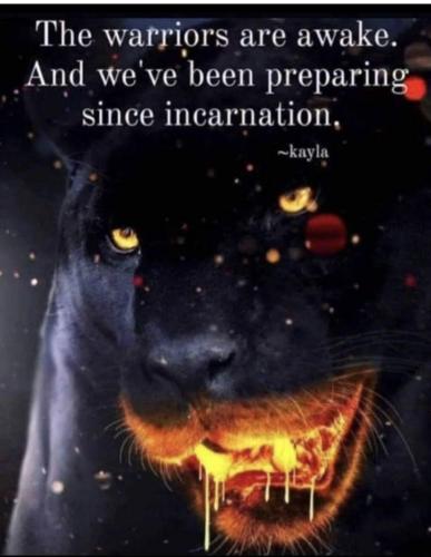 23:04:39 GMT+1300 (NZDT).image