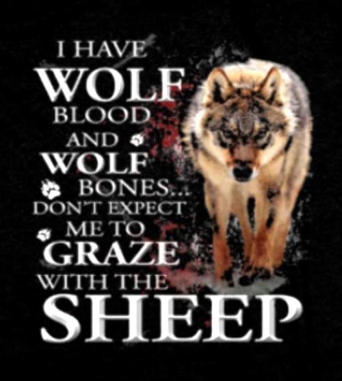 FB_IMG_1662482055365