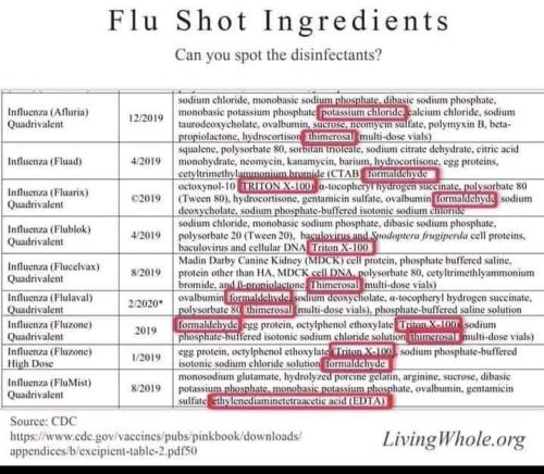 FB_IMG_1666987136572