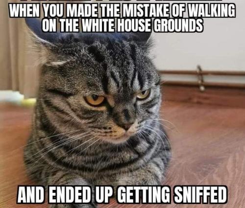 FB_IMG_1666281944976