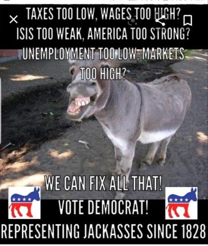 Vote Dem 1