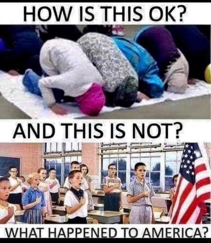 FB_IMG_1666550773768
