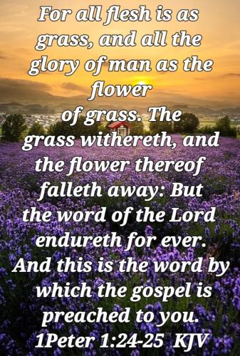 02:22:43 GMT-0700 (PDT)