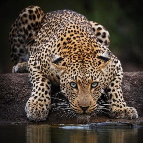 tumblr_68fa737ab73e4bdfb3bfb093a540ea07_a05a1ba1_540