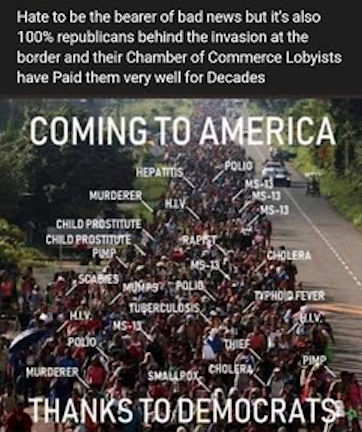 illegal immigration294
