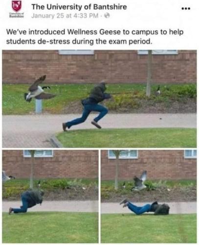 FB_IMG_1665597849415