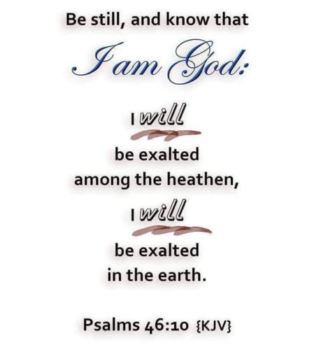 Screenshot_20221008-081234_Gallery