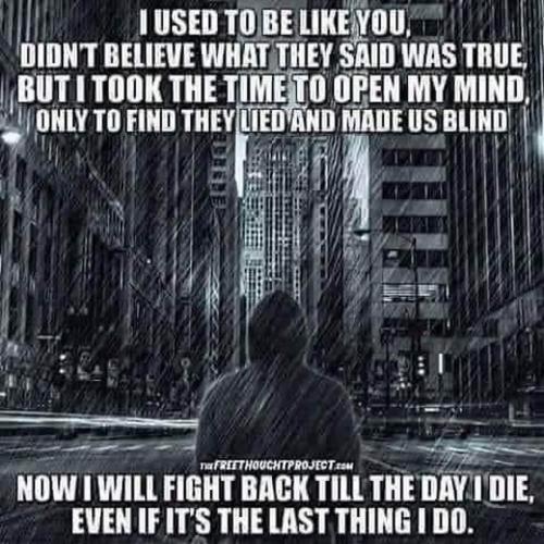 FB_IMG_1667065657209