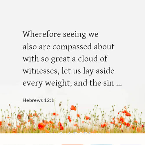 dailybible_20221015-130225_Hebrews_12-1