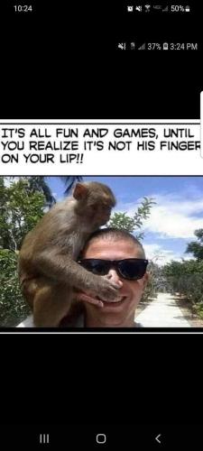 FB_IMG_1666804749043