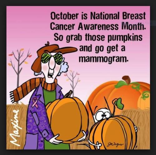 22196502_10212358456390772_1767432302051838591_n