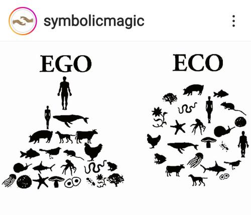 Screenshot_2022-10-26-13-14-40-91_1c337646f29875672b5a61192b9010f9