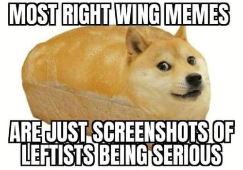 d10eb84f-7031-40e5-bc48-f05096ae2fb5