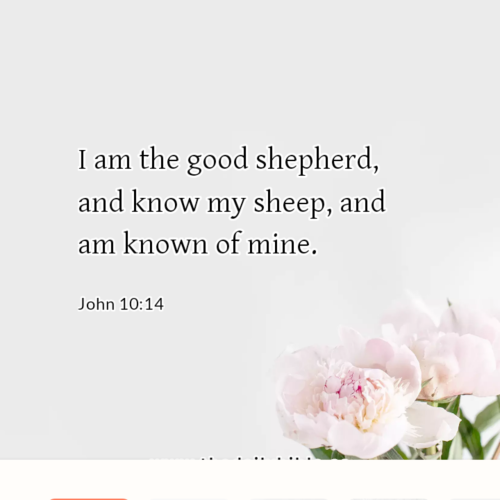 dailybible_20221018-182410_John_10-14