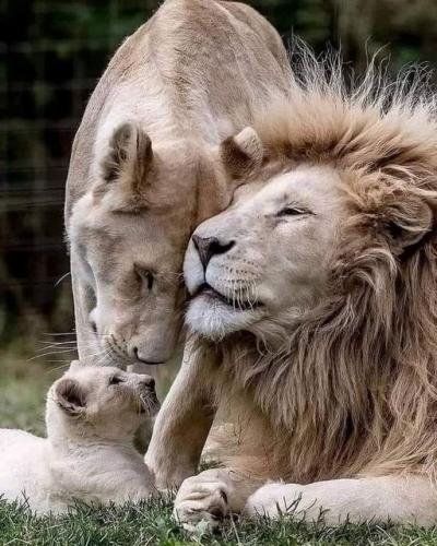 311133435_5994556340562586_5916832498921317103_n