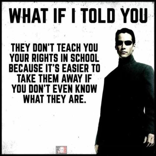 274512768_425928052645501_6185367460796226318_n