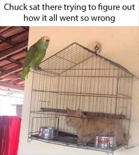 FB_IMG_1666041049970
