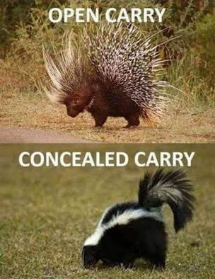 open carry vs conceal carry