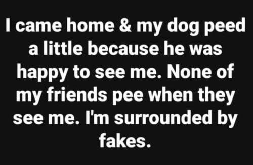 IMG_20221010_005746_807