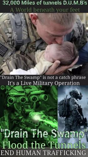 drain swamp