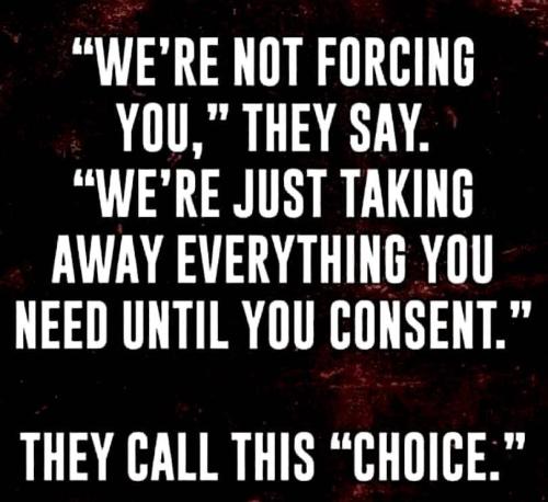 274292489_425406099364363_2328229422288989815_n