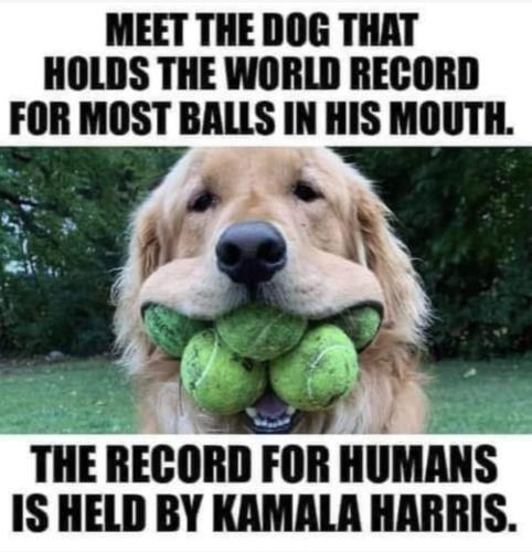 FB_IMG_1666888315674