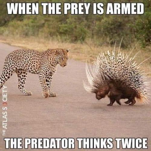 FB_IMG_1666281493480