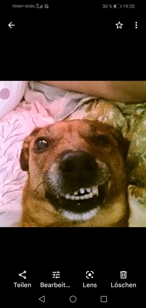 Screenshot_20221009_192023_com.google.android.apps.photos